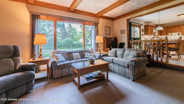 3888 Breckinridge Dr, Okemos, MI 48864 - living area with beamed ceiling and carpet floors
