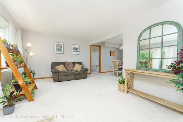 2162 Kent St, Okemos, MI 48864 - living area with carpet and healthy amount of natural light