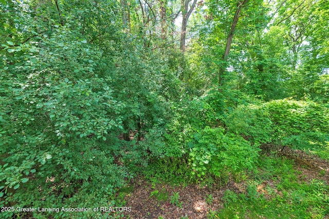 16600 La Fleur Dr, East Lansing, MI 48823 - photo 31