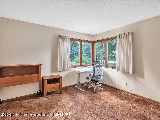3619 W Arbutus Dr, Okemos, MI 48864 - home office with carpet and a textured ceiling
