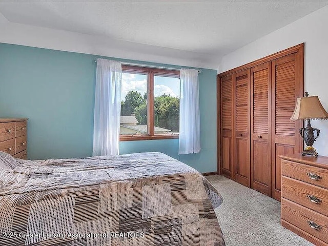 3619 W Arbutus Dr, Okemos, MI 48864 - carpeted bedroom featuring a closet