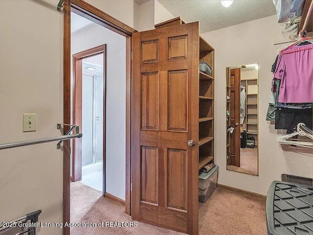 3619 W Arbutus Dr, Okemos, MI 48864 - walk in closet with light colored carpet