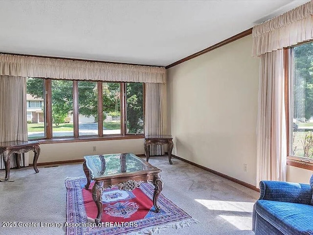 3619 W Arbutus Dr, Okemos, MI 48864 - living area with light colored carpet and ornamental molding