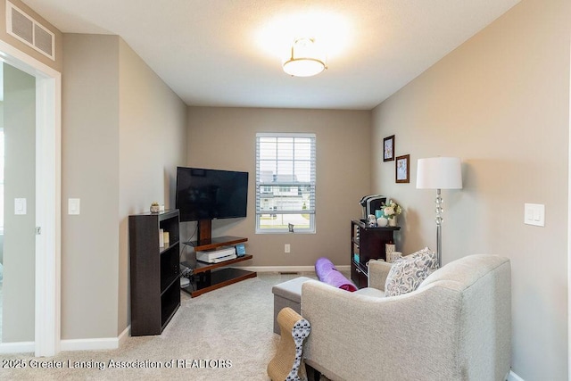 642 Anhinga Dr, East Lansing, MI 48823 - photo 20