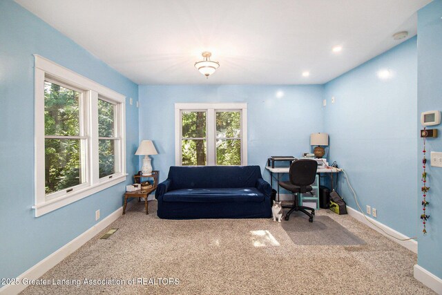 6501 Coleman Rd, East Lansing, MI 48823 - photo 3