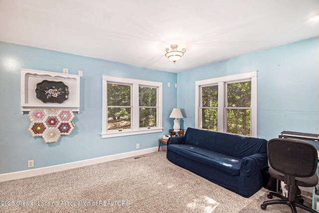 6501 Coleman Rd, East Lansing, MI 48823 - photo 4