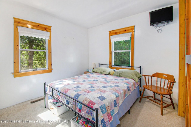 6501 Coleman Rd, East Lansing, MI 48823 - photo 12