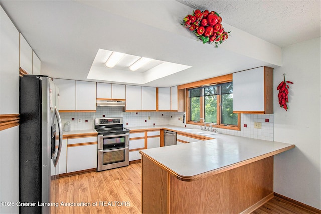 12829 Silver Ridge Dr, Grand Ledge, MI 48837 - kitchen featuring appliances with stainless steel finishes, a peninsula, under cabinet range hood, light wood-style flooring, and tasteful backsplash