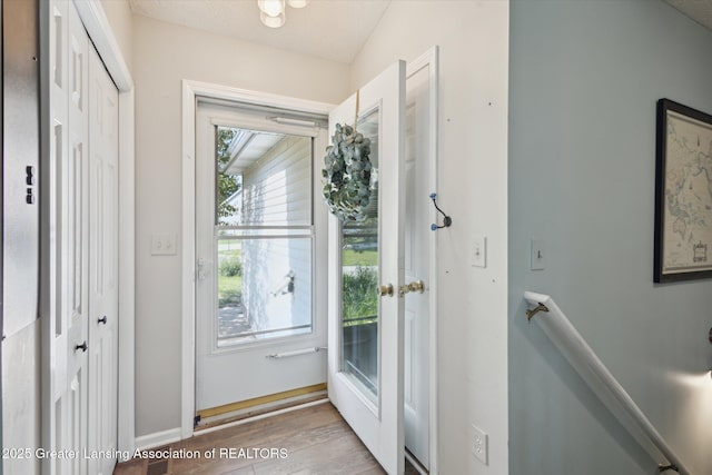207 Queens Ct Unit 8, Grand Ledge, MI 48837 - entryway with wood finished floors