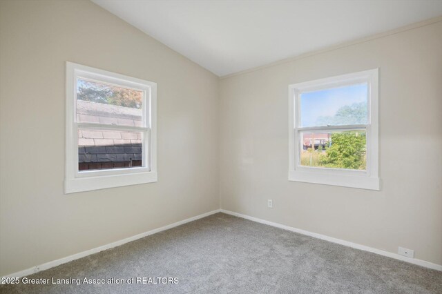 1020 Belaire Ave, Lansing, MI 48910 - photo 11