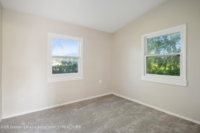1020 Belaire Ave, Lansing, MI 48910 - photo 16