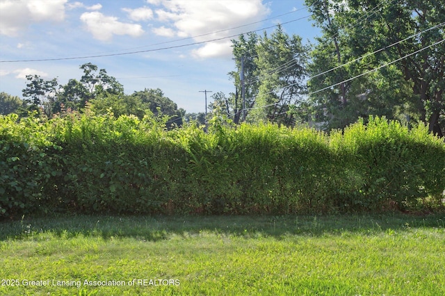 1020 Belaire Ave, Lansing, MI 48910 - photo 25