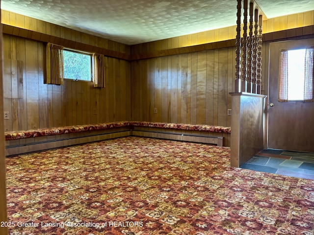 234 W Grand Ledge Hwy Unit R1, Mulliken, MI 48861 - empty room with wood walls