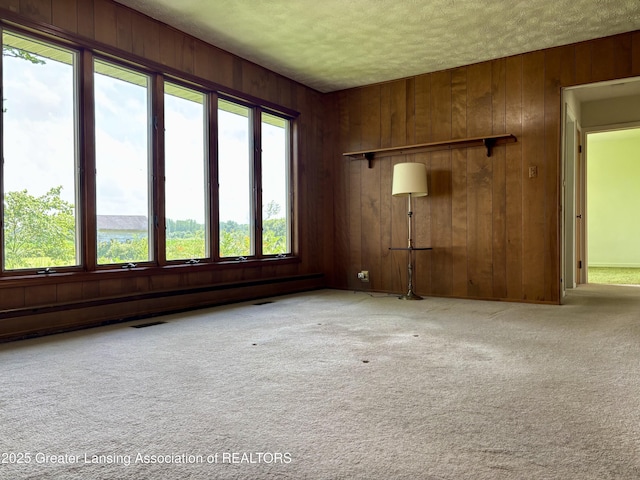 234 W Grand Ledge Hwy Unit R1, Mulliken, MI 48861 - carpeted spare room featuring healthy amount of natural light, wood walls, and a textured ceiling