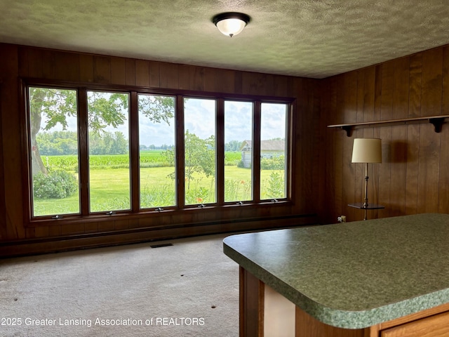 234 W Grand Ledge Hwy Unit R1, Mulliken, MI 48861 - interior space featuring wood walls and a textured ceiling