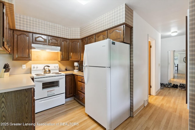1117-1119 Blake Ave, Lansing, MI 48912 - kitchen featuring white appliances, under cabinet range hood, light wood-style floors, and light countertops