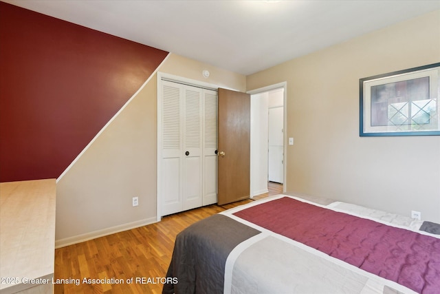 1117-1119 Blake Ave, Lansing, MI 48912 - bedroom featuring wood finished floors and a closet