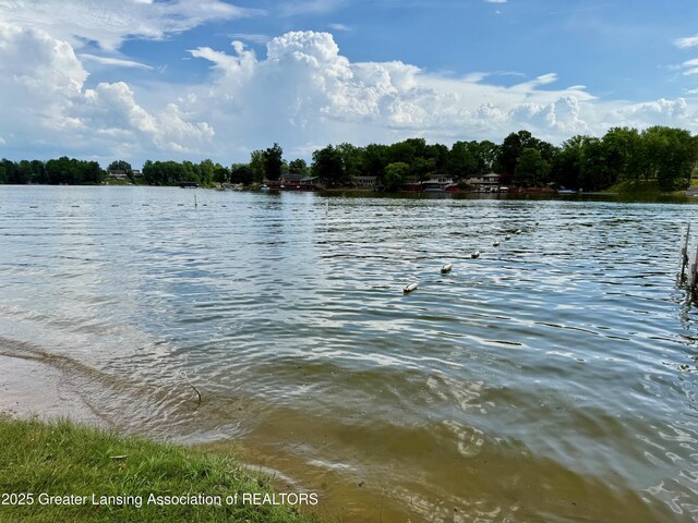 10993 Lakeside Dr, Perrinton, MI 48871 - water view