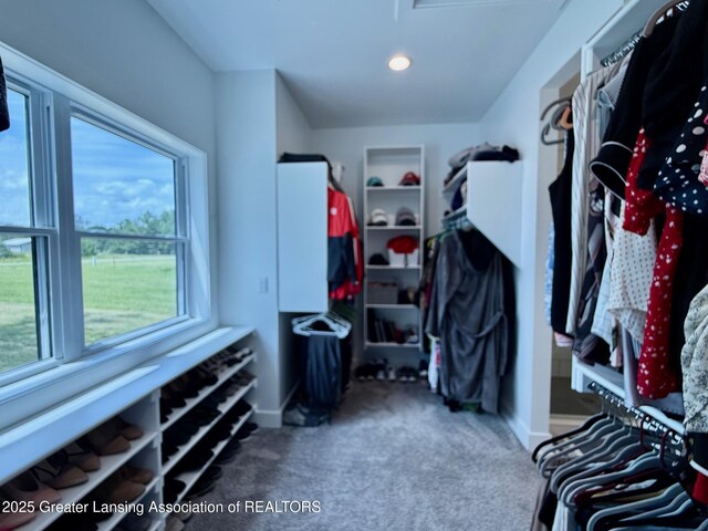 10993 Lakeside Dr, Perrinton, MI 48871 - spacious closet with carpet floors