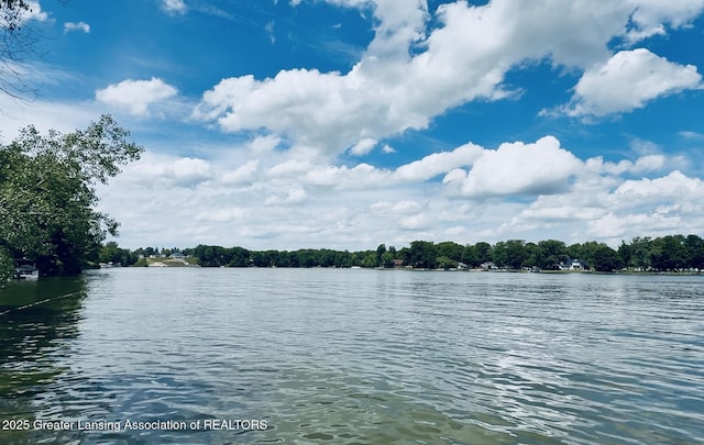 10993 Lakeside Dr, Perrinton, MI 48871 - water view
