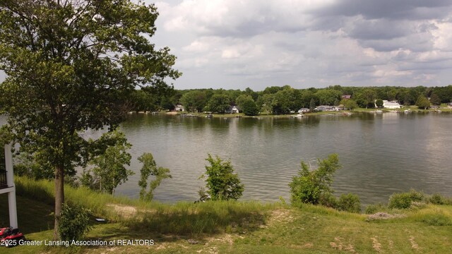 10993 Lakeside Dr, Perrinton, MI 48871 - water view