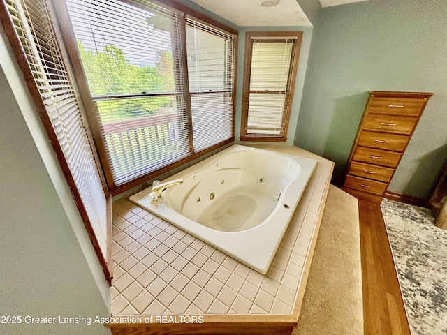 1005 Turner Rd, Dewitt, MI 48820 - photo 24