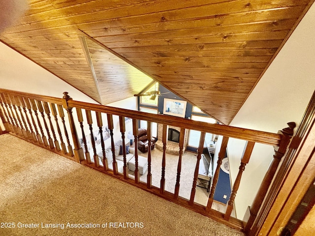 1005 Turner Rd, Dewitt, MI 48820 - photo 31