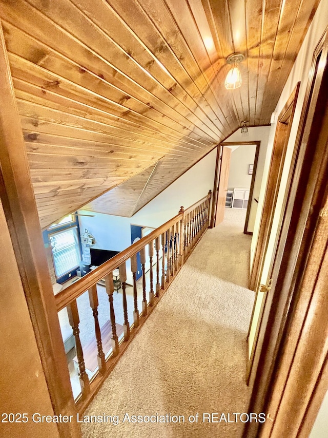 1005 Turner Rd, Dewitt, MI 48820 - photo 34