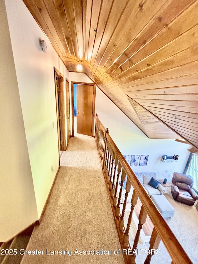 1005 Turner Rd, Dewitt, MI 48820 - photo 40