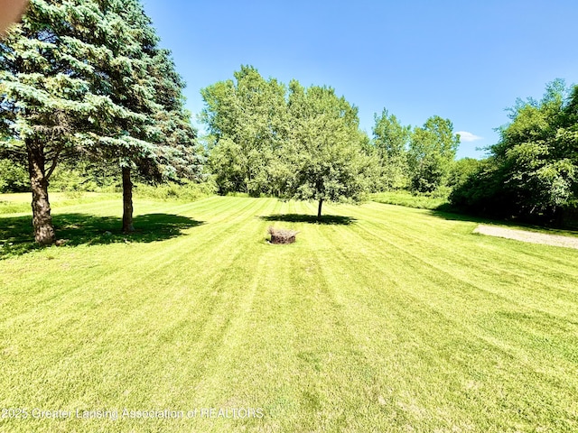 1005 Turner Rd, Dewitt, MI 48820 - photo 67