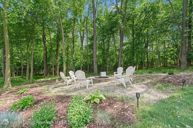 1491 Wellman Rd, Dewitt, MI 48820 - photo 46