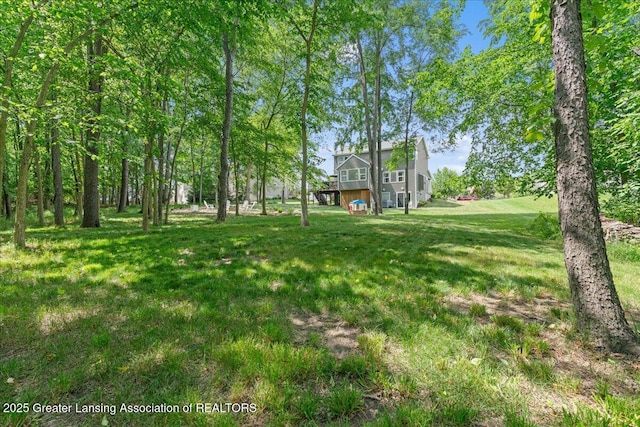 1491 Wellman Rd, Dewitt, MI 48820 - photo 47