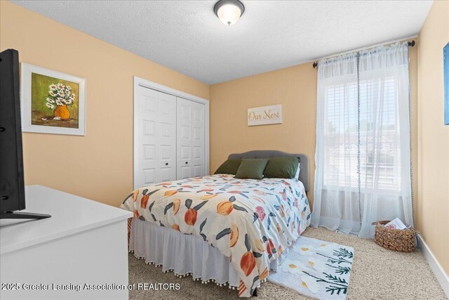 1491 Wellman Rd, Dewitt, MI 48820 - photo 24
