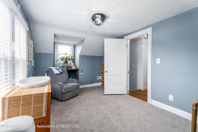 117 W Northrup St, Lansing, MI 48911 - photo 25