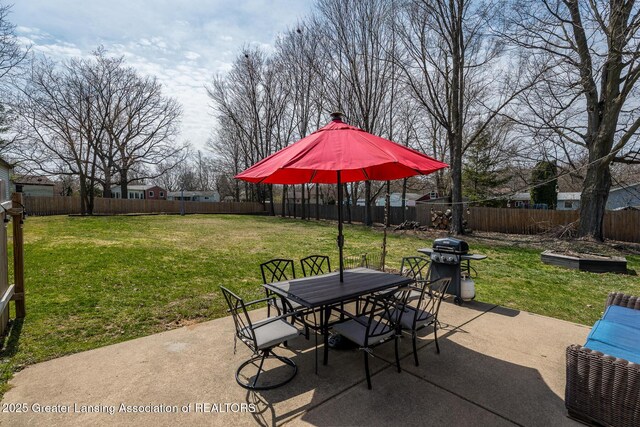 117 W Northrup St, Lansing, MI 48911 - photo 9