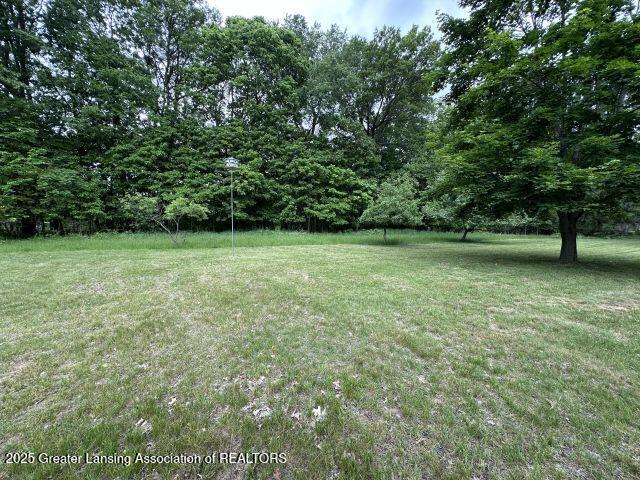 8241 Barson Rd, Rives Junction, MI 49277 - view of green lawn