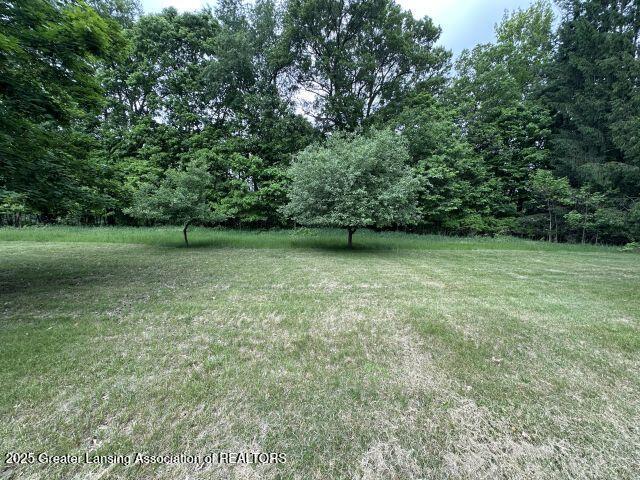8241 Barson Rd, Rives Junction, MI 49277 - view of green lawn featuring a view of trees