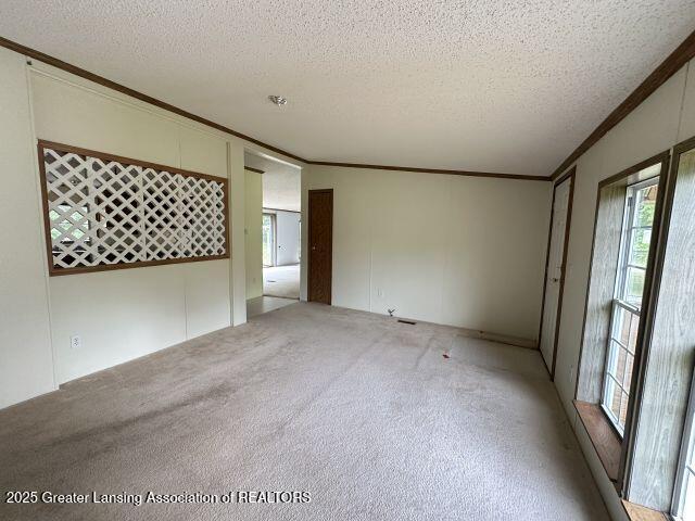 8241 Barson Rd, Rives Junction, MI 49277 - empty room with crown molding, light carpet, healthy amount of natural light, and a textured ceiling