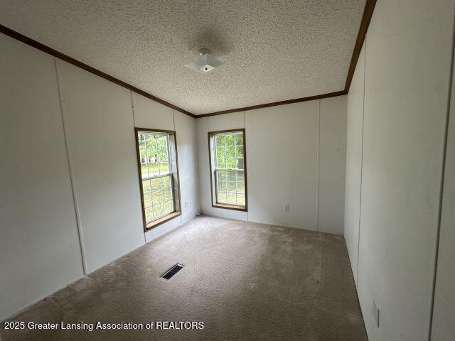 8241 Barson Rd, Rives Junction, MI 49277 - empty room with crown molding, lofted ceiling, a textured ceiling, a decorative wall, and carpet