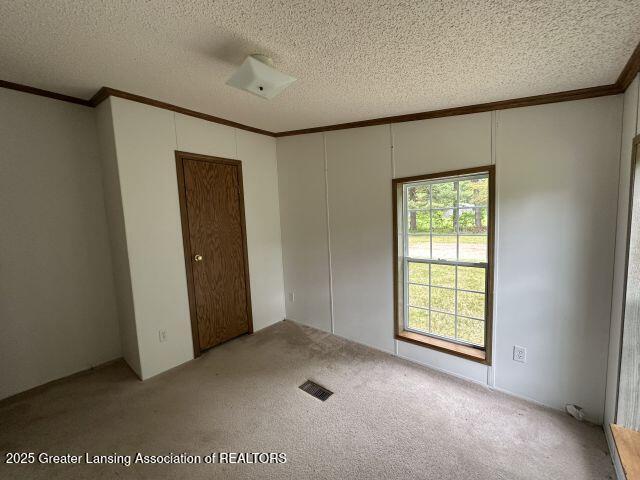 8241 Barson Rd, Rives Junction, MI 49277 - spare room with crown molding, carpet floors, and a textured ceiling