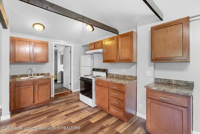1116 Cooper Ave, Lansing, MI 48910 - kitchen with white appliances, dark wood-style floors, under cabinet range hood, brown cabinets, and dark countertops