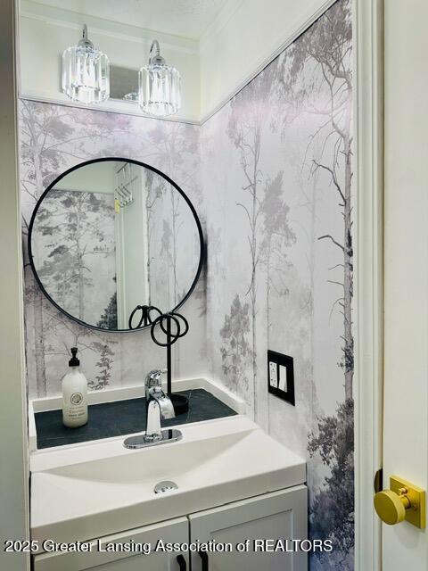 4340 Balmoral Dr, Lansing, MI 48911 - bathroom with vanity