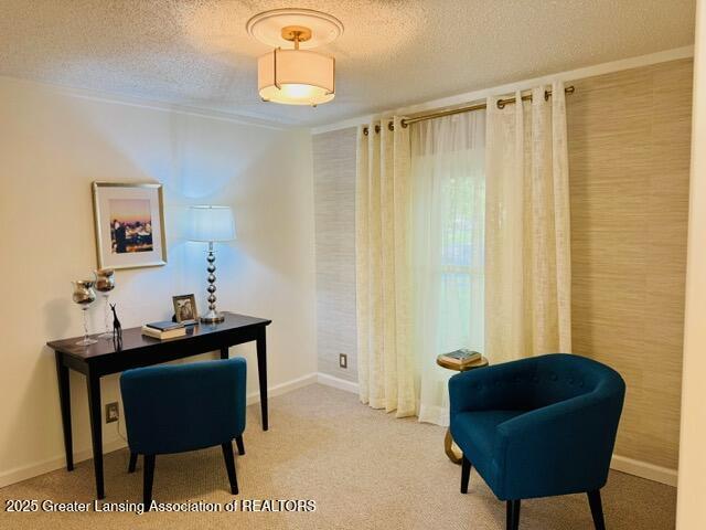 4340 Balmoral Dr, Lansing, MI 48911 - office space featuring a textured ceiling and carpet floors