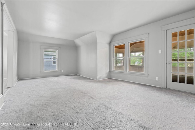 916 Wildwood Ave, Jackson, MI 49202 - additional living space featuring carpet and plenty of natural light