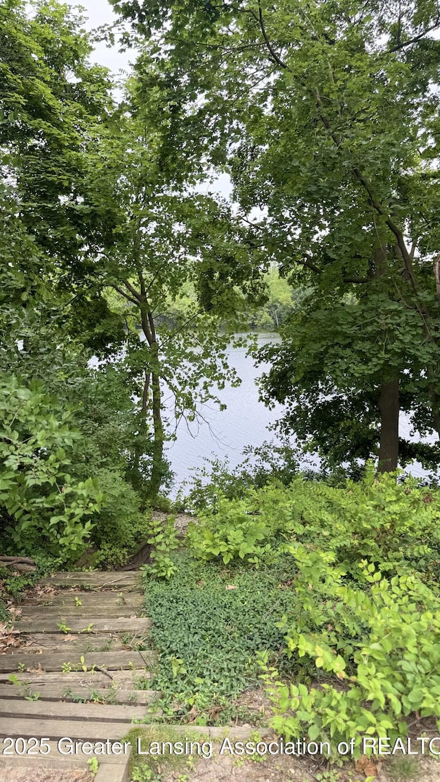 1516 Moores River Dr, Lansing, MI 48911 - photo 60