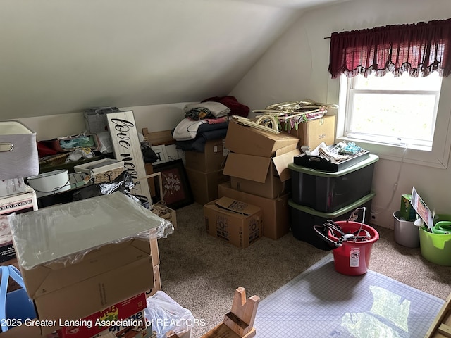 8691 N Ionia Rd, Vermontville, MI 49096 - photo 18