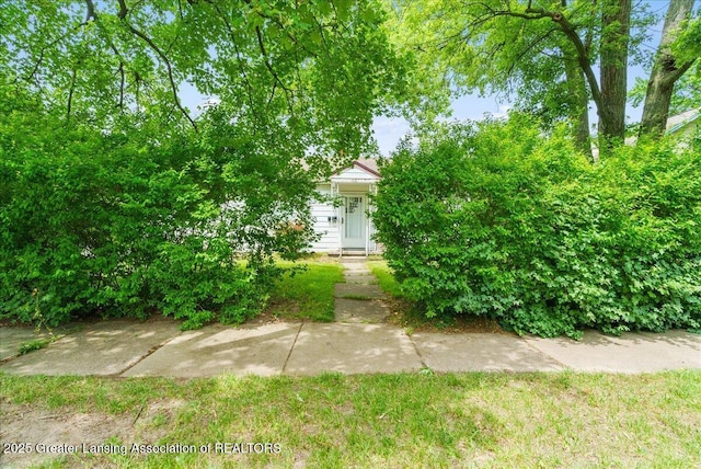 737 Jessop Ave, Lansing, MI 48910 - view of property hidden behind natural elements