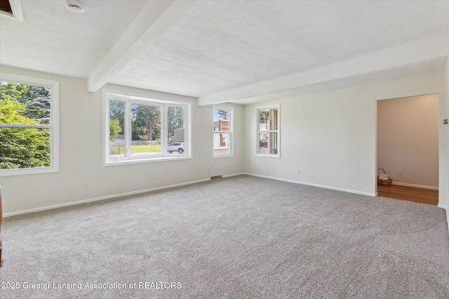 127 W Main St, Maple Rapids, MI 48853 - photo 9