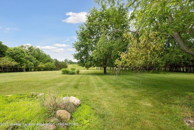 525 Grovenburg Rd, Mason, MI 48854 - photo 33