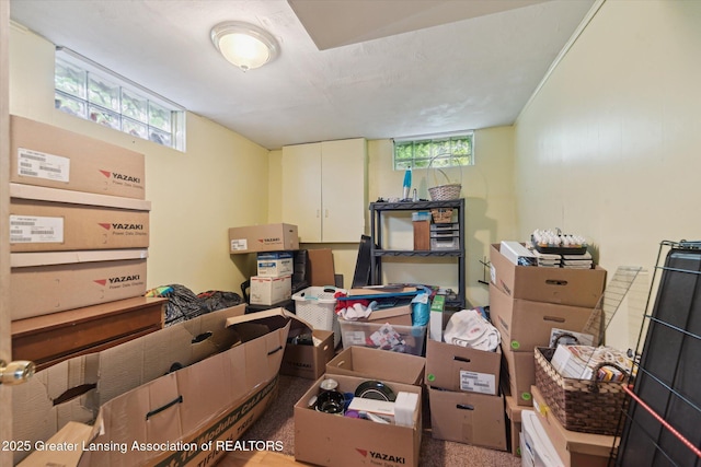 536 Hunter Blvd, Lansing, MI 48910 - view of storage area